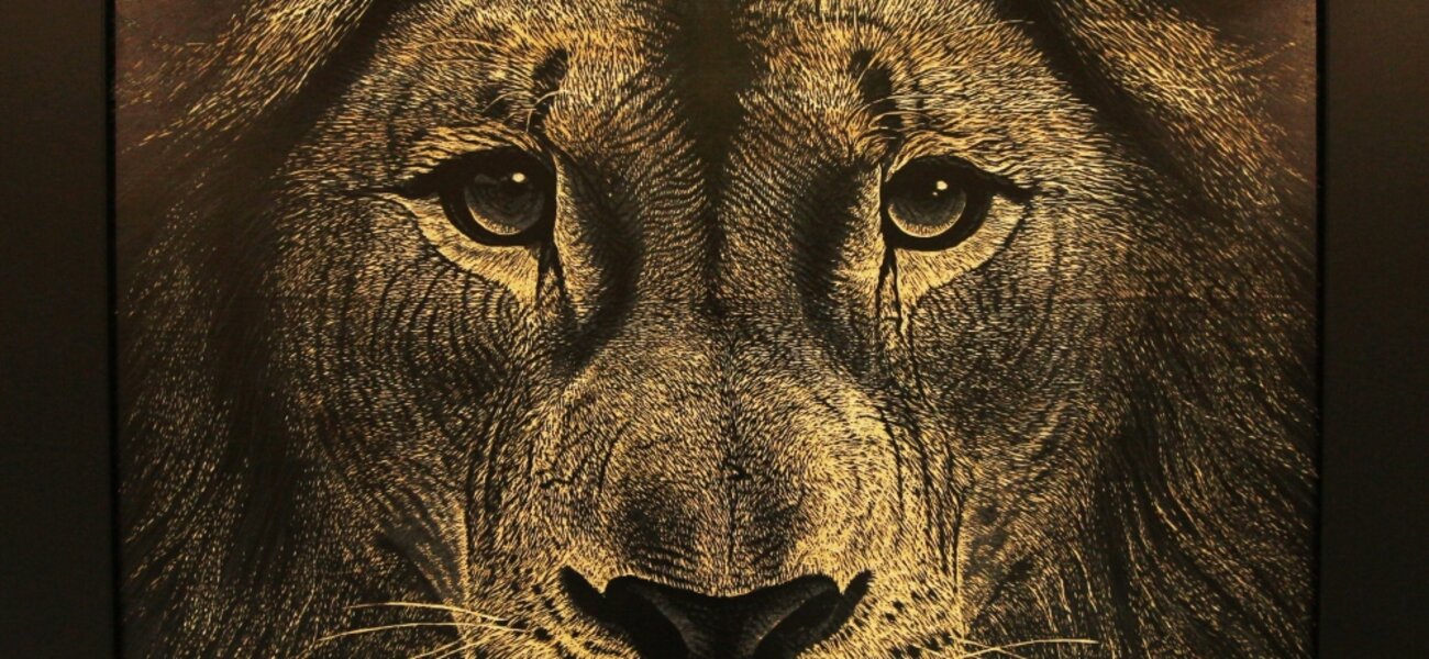 University of Maryland Medical Center Does it Again