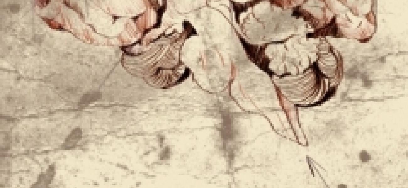 Art Therapy - Students Shed Light on Mental Illness through Art