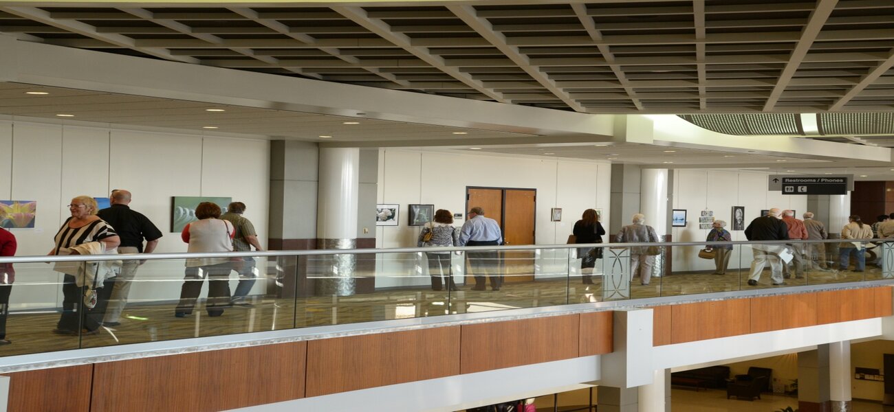 NAP Exhibit is Highly Valued at DFW Airport