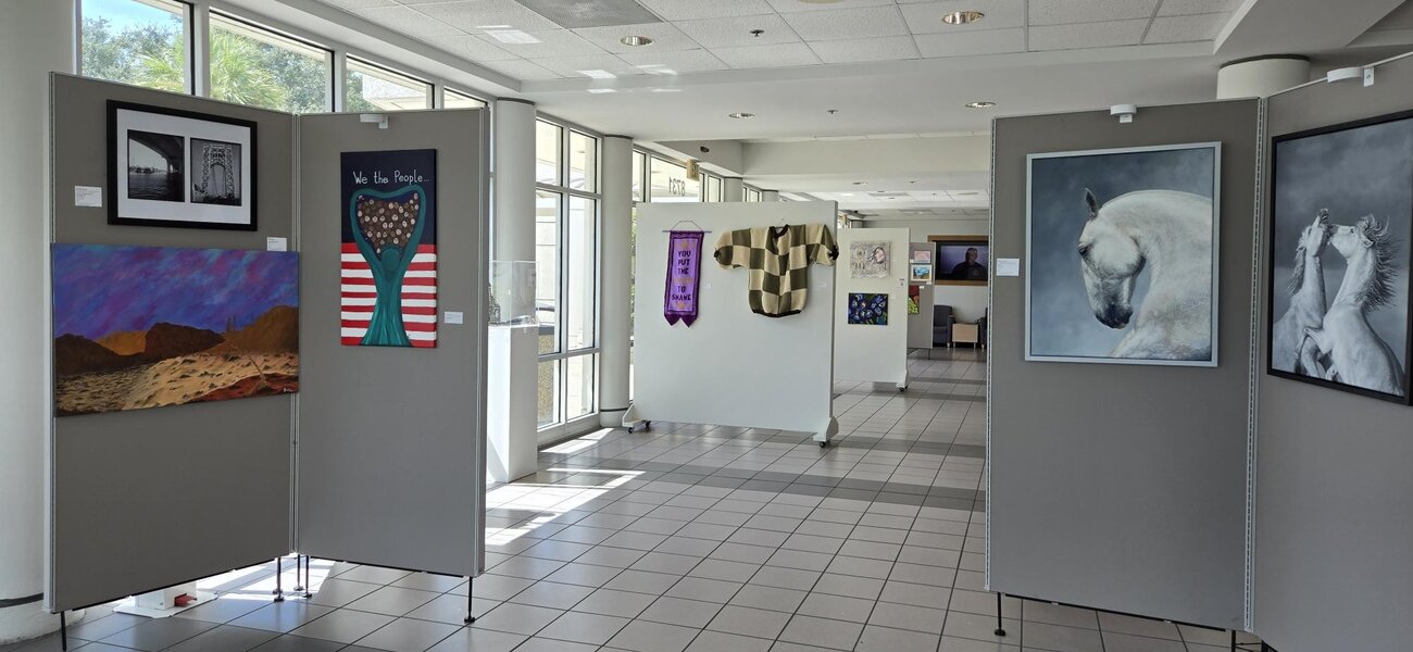 Pasco County, Florida 3rd Annual NAP Exhibit Walls