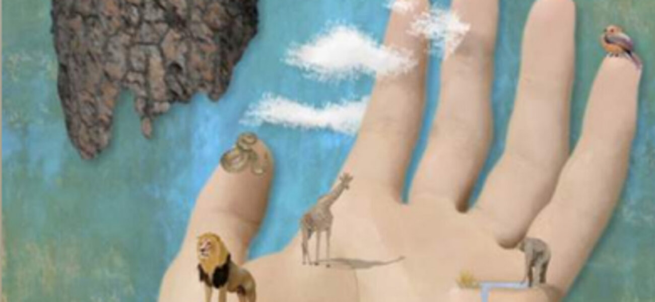 Over 200 Amazing Artworks on Display in Pinellas County, FL