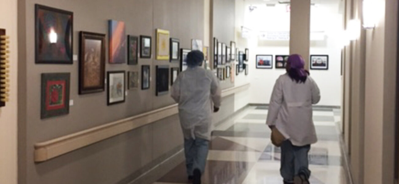 Artwork Breaths Life into the Connector Hallways of The University of Chicago Medicine
