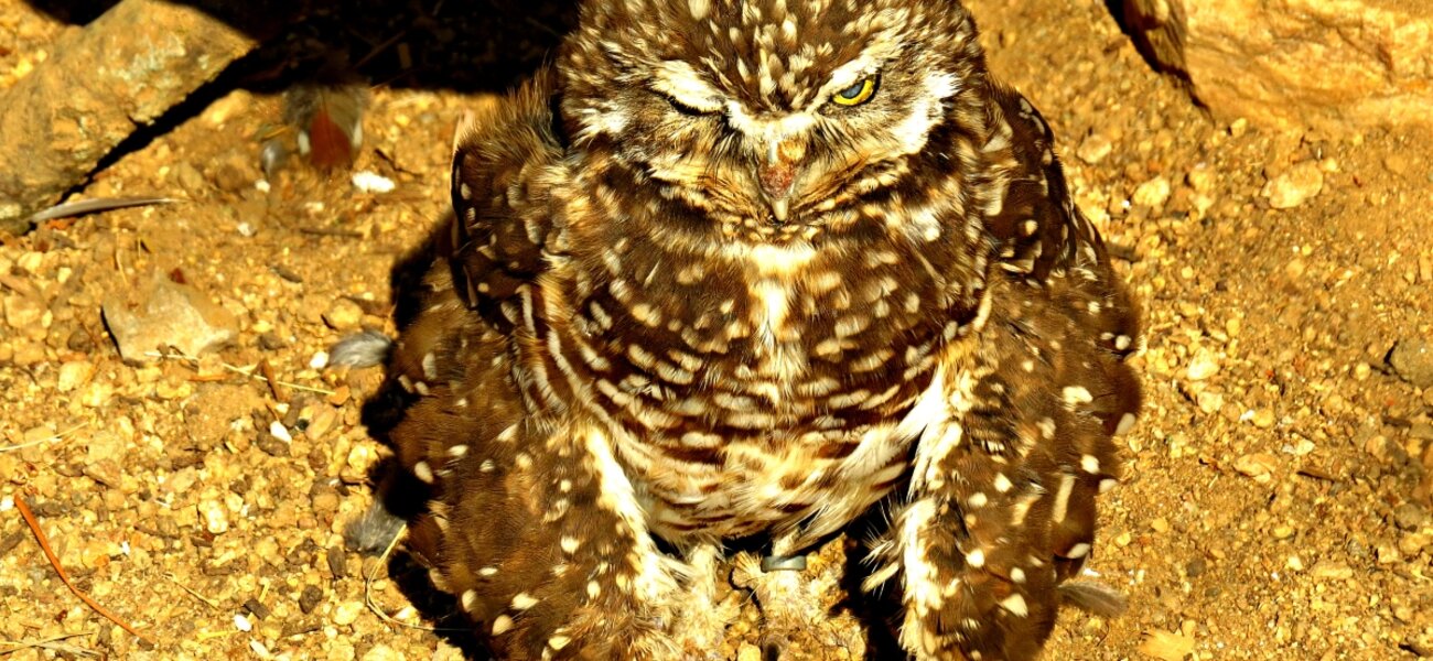 VCU Health Artists Shine in Exhibit and Online