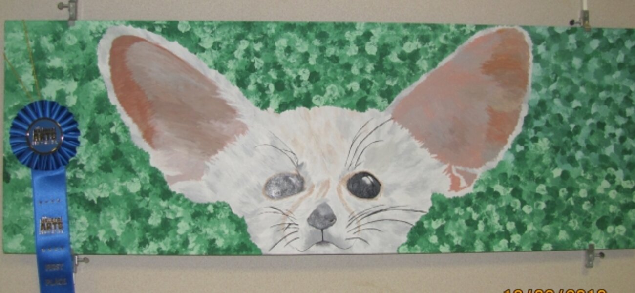 7th Annual Exhibit Fennec Fox