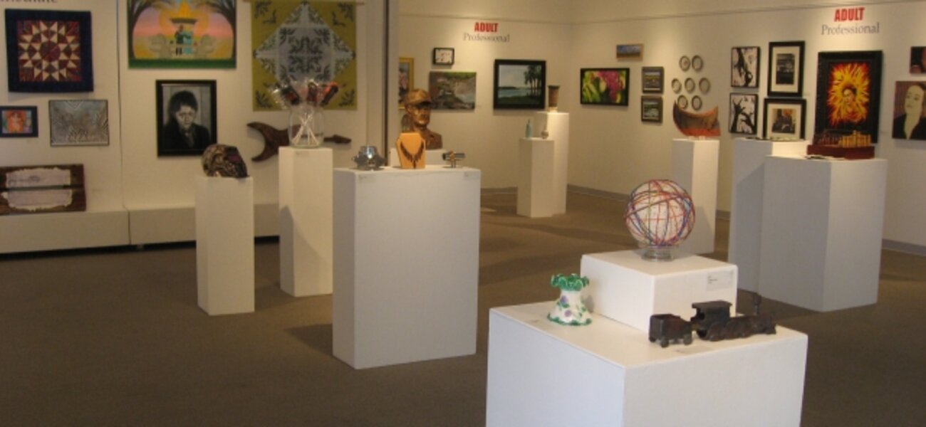 6th Annual Exhibit The Gallery SPACE in Savannah, GA adored with artwork from the 6th Annual NAP Exhibit.