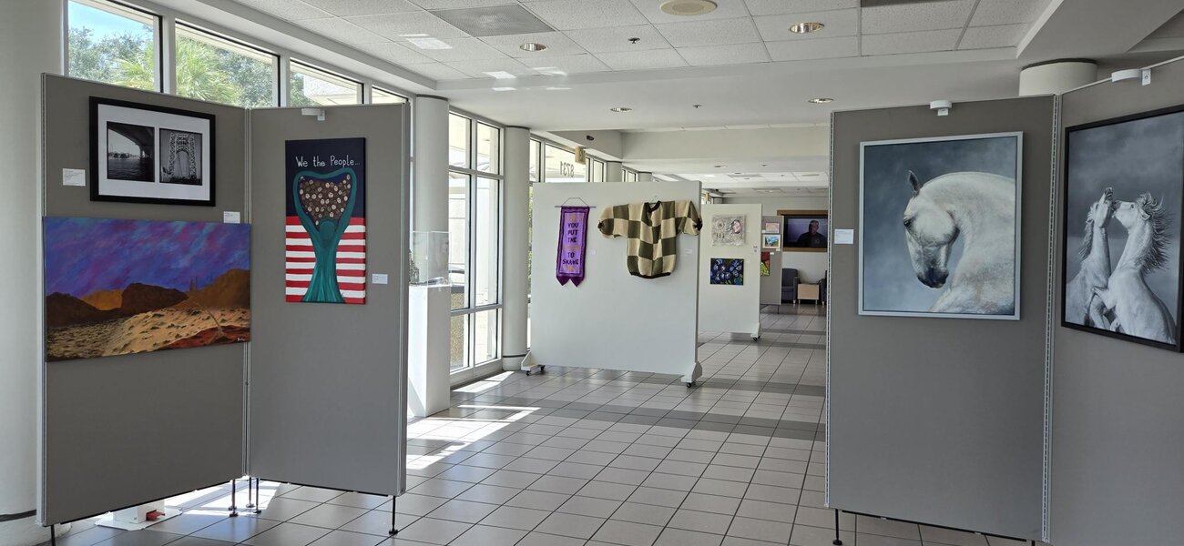 Pasco County 3rd Annual Exhibit