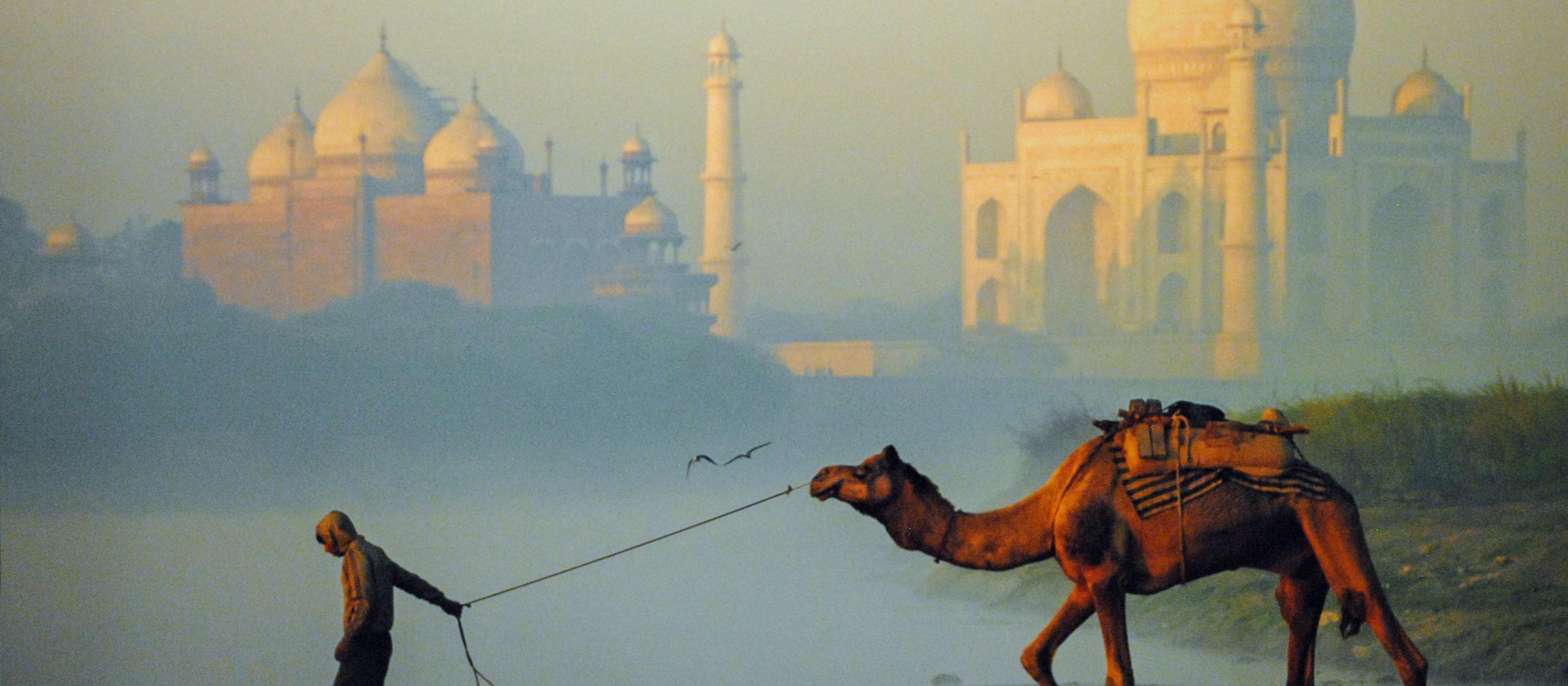 india photo with camel