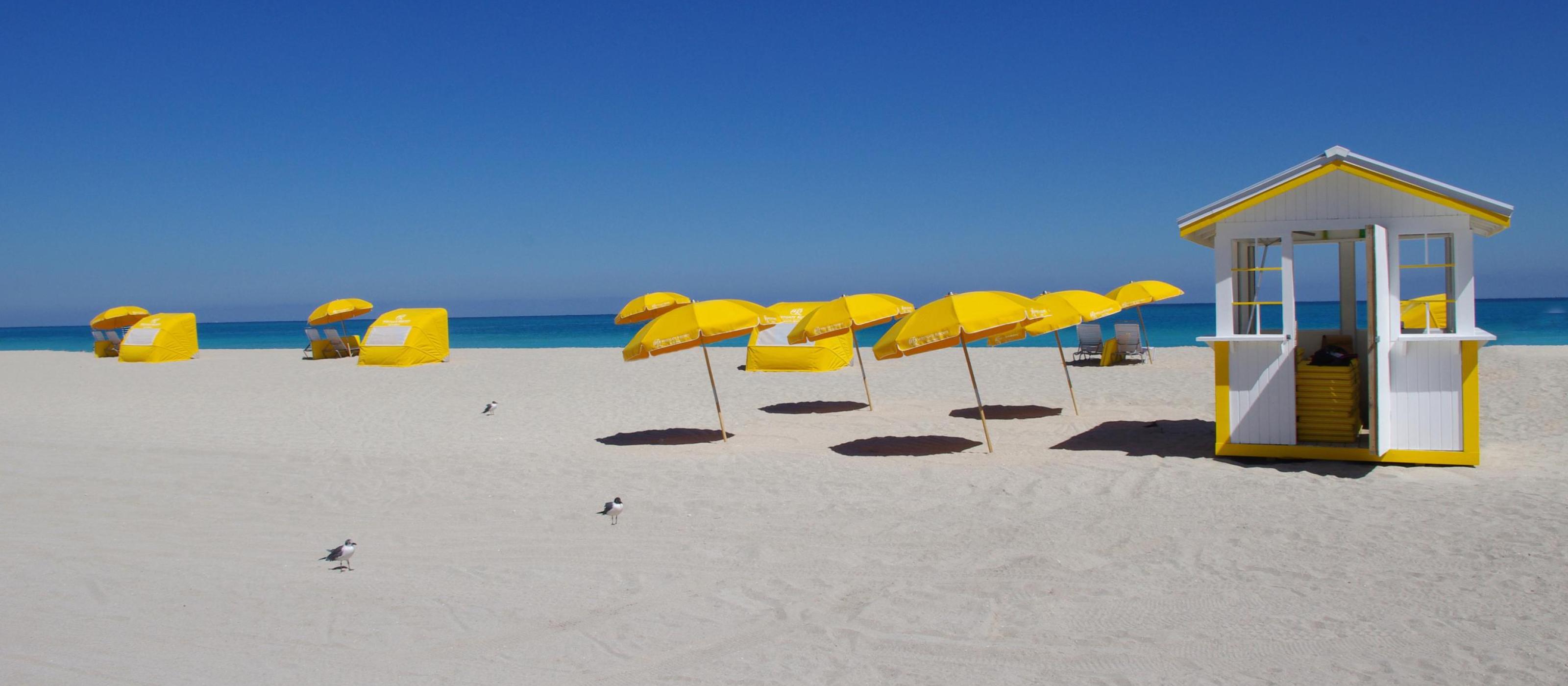 beach yello umbrellas