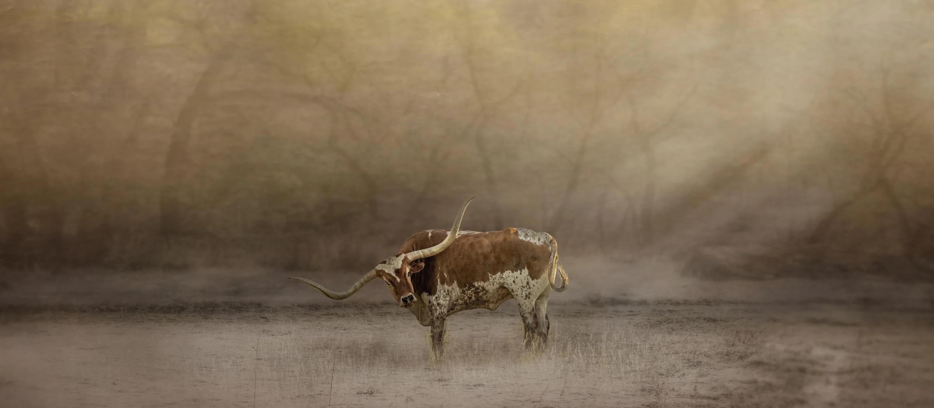 fragment of the herd