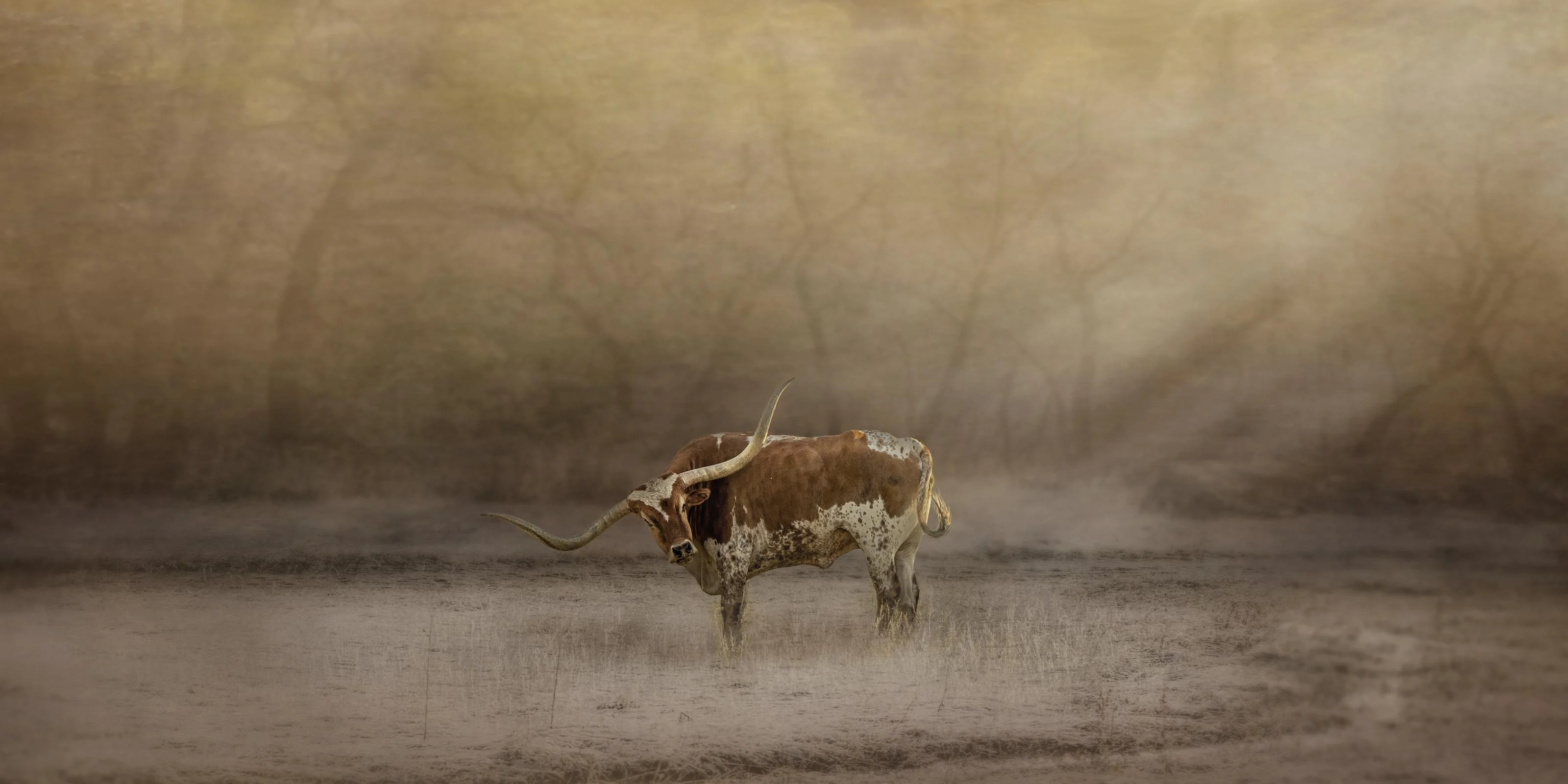 fragment of the herd