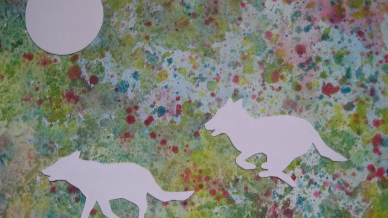 Out for a midnight stroll