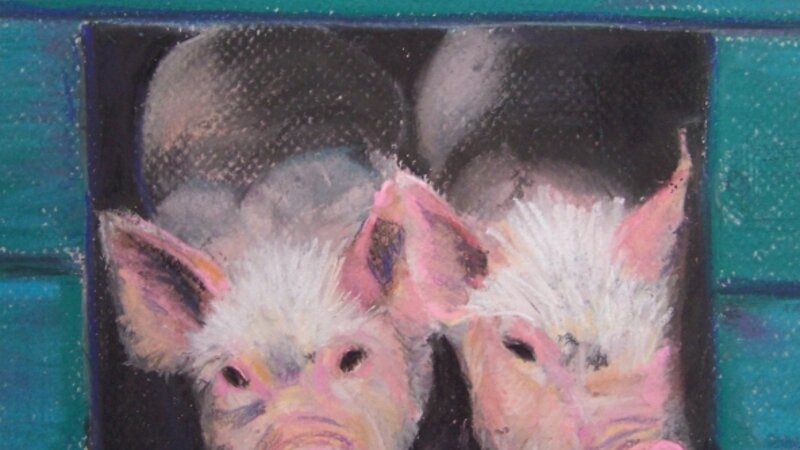 Pig Pals