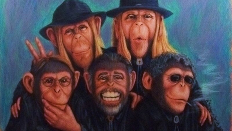 Monkeys Humaning around as Musicians