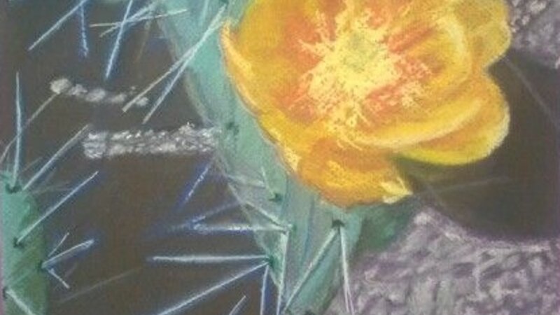 Desert Bloom