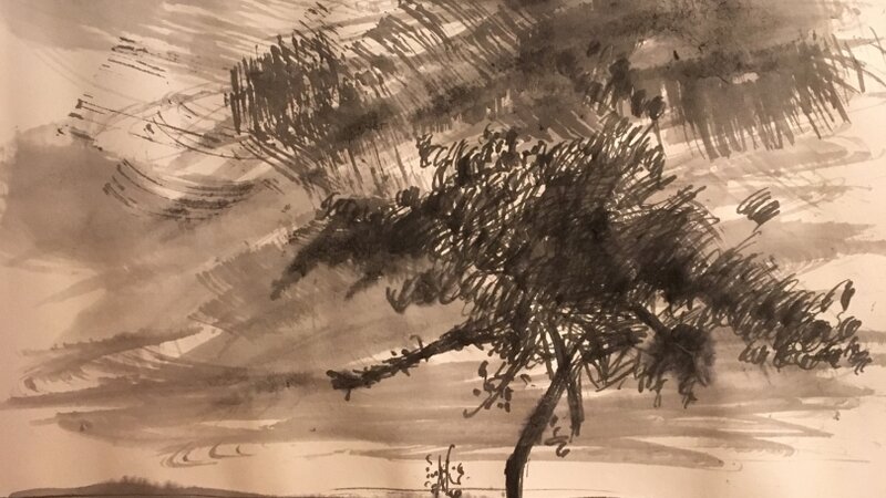 Lone Tree