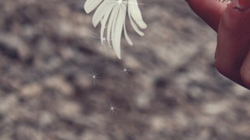 Tied together with a smile.