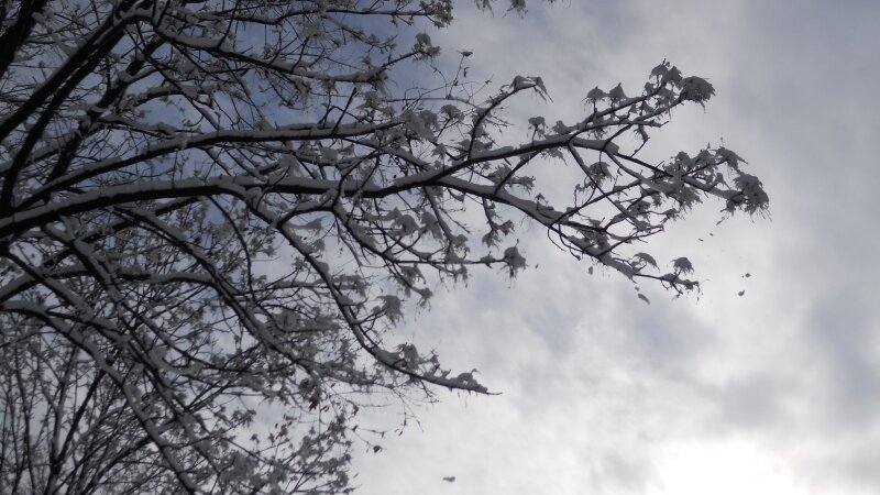 snowy sky