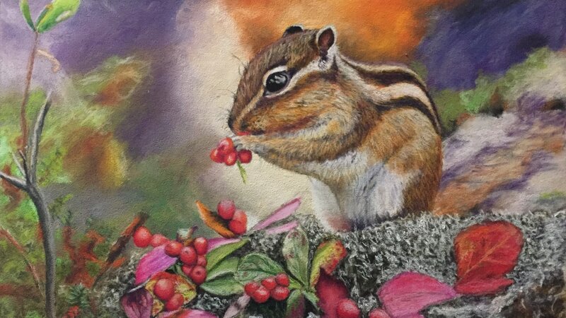 The Harvest