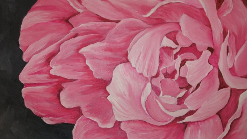 Pink Peony I