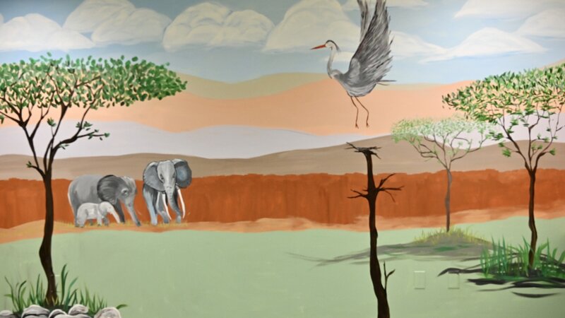 Savanna