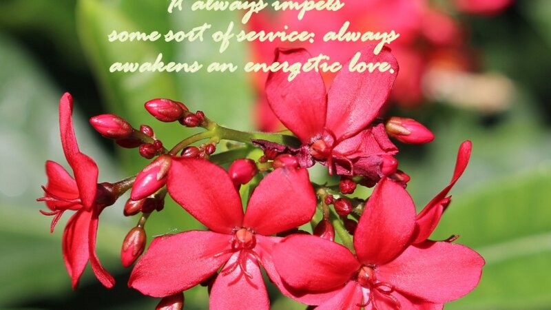 Transforming Power of Grace