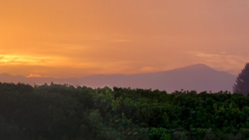 Sun Rise Laguna De Santa Rosa