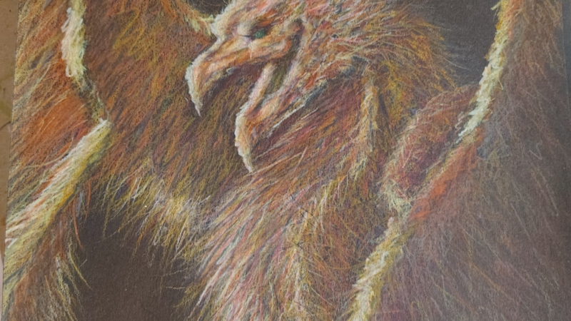 The Alpha Phoenix prepares