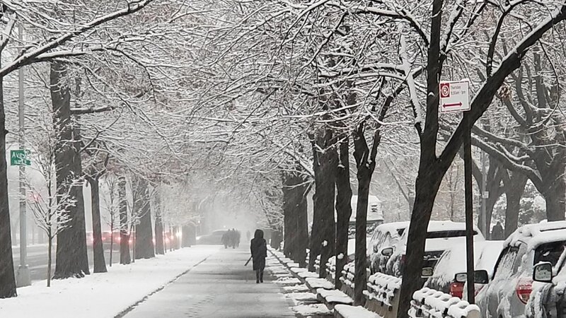 First snow in the city