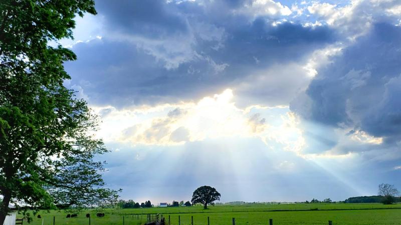 Sun rays beaming on farmers field