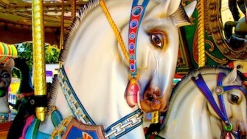 Carousel Stallions