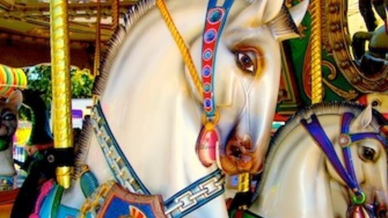 Carousel Stallions