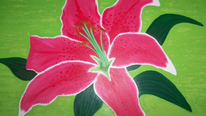 "Pretty in Pink