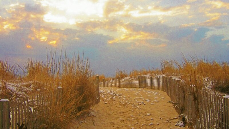 The Path