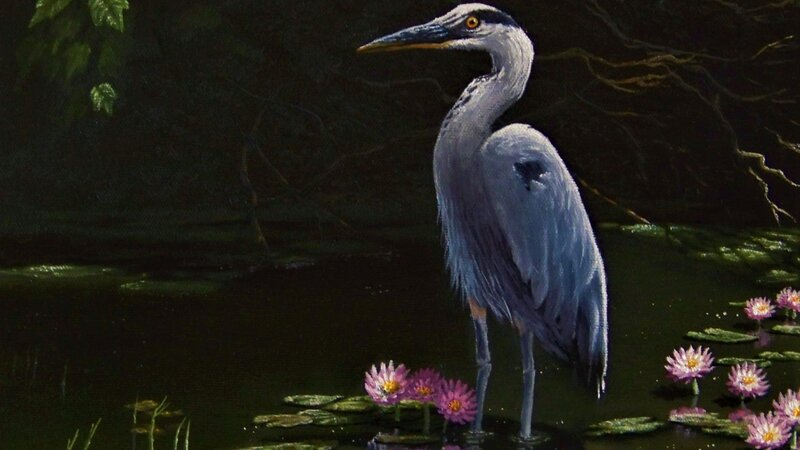 Ed's Blue Heron