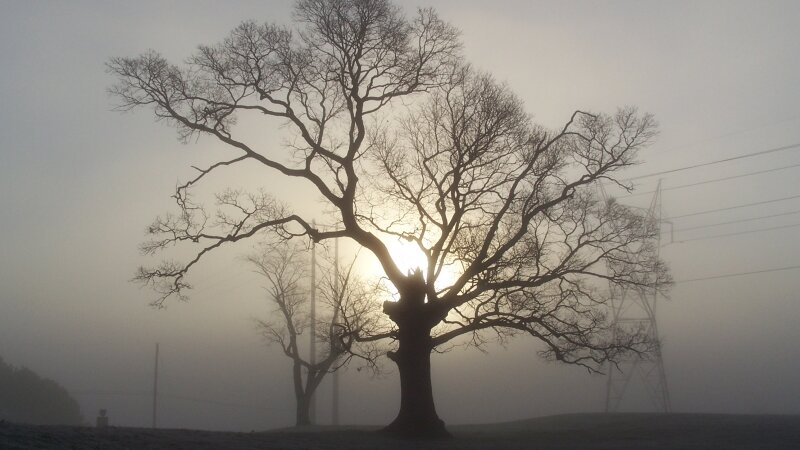 Radiating Light Around Us