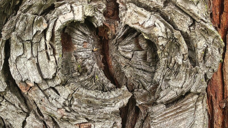 Texture Series Number1
