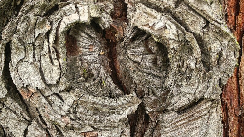 Texture Series Number1