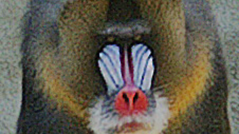 Mandrill
