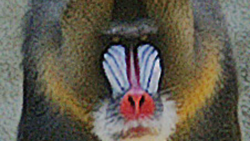 Mandrill