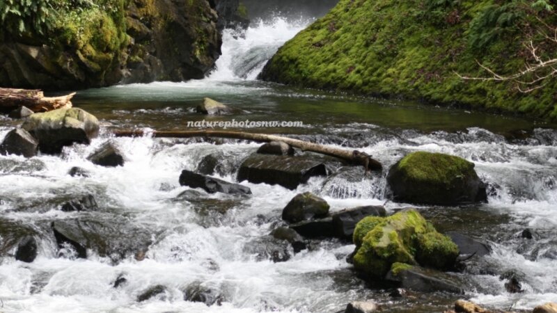 Falls of the Gorge