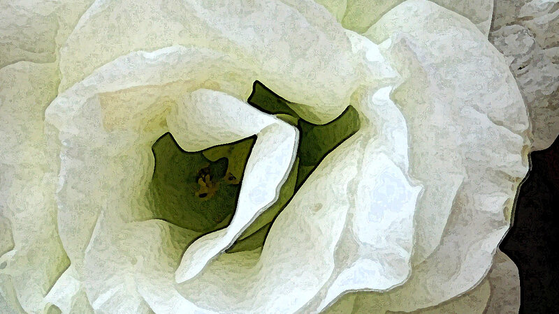 Purity