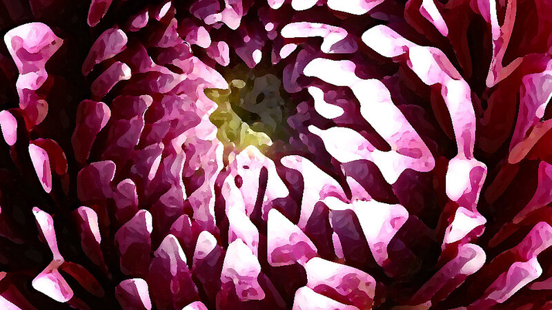 Dahlia Series Number 3
