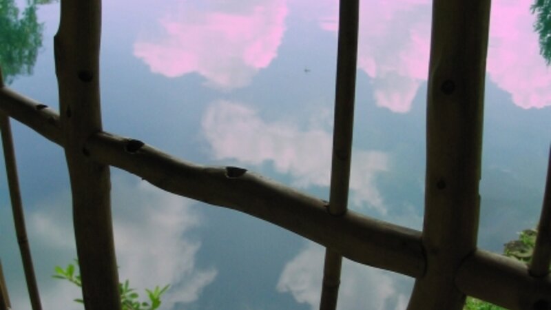 reflect