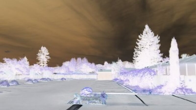 Negative world