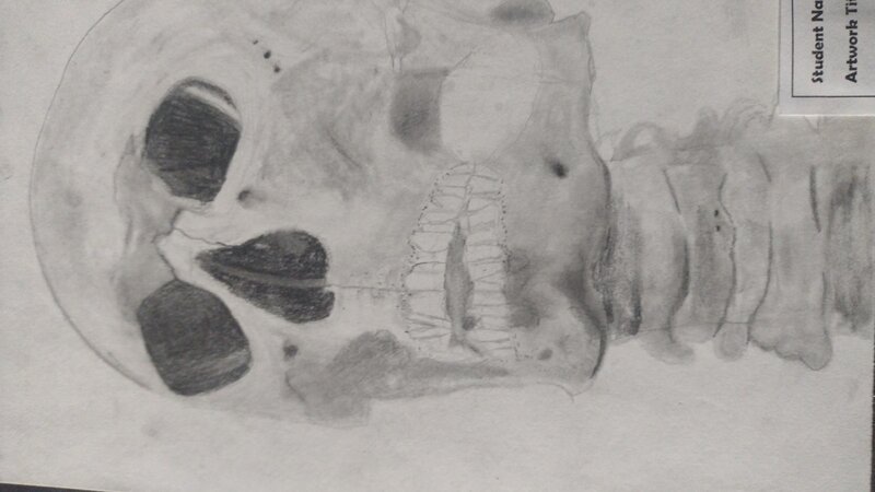 Skull 