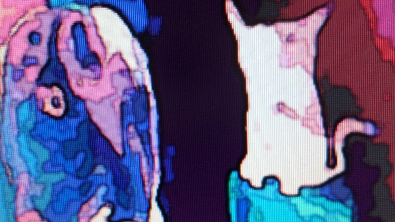 Animal lovers Human, Dog , and Cat