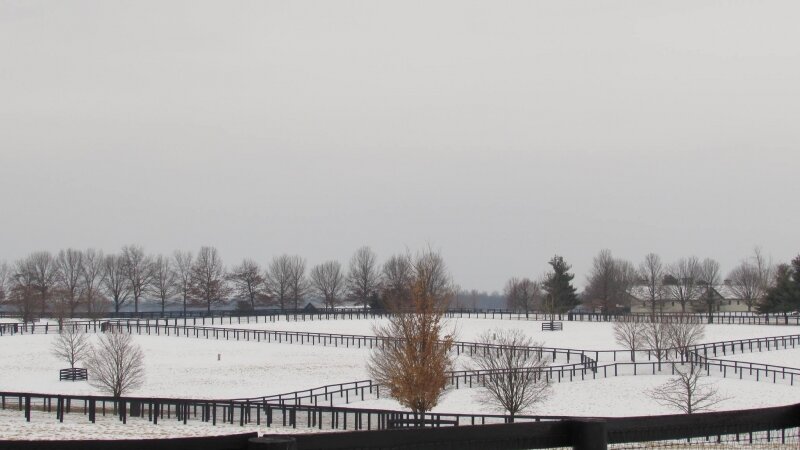 Kentucky, Bluegrass, Farm, Horses, Countryside, Snow, Winter, Lexington, Horse farm