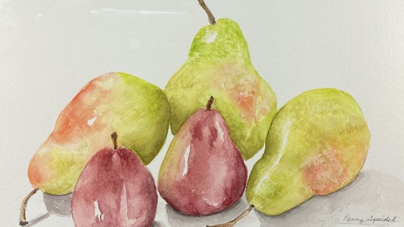 Bartlett and Seckle Pears