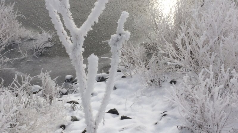 Lake frost winter cold