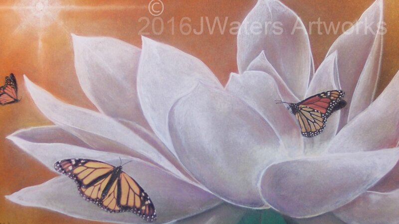 Magnolia and Butterflies